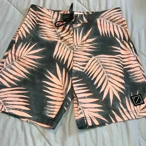 American Eagle Men’s Shorts A2 - Picture 1 of 4